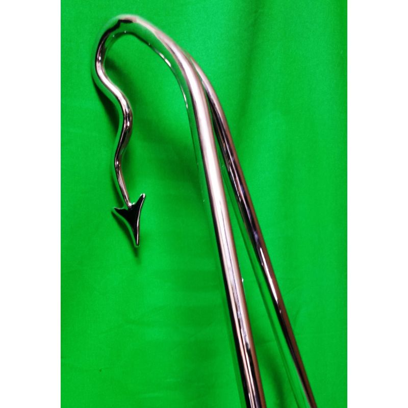 Dragon tail sale sissy bar